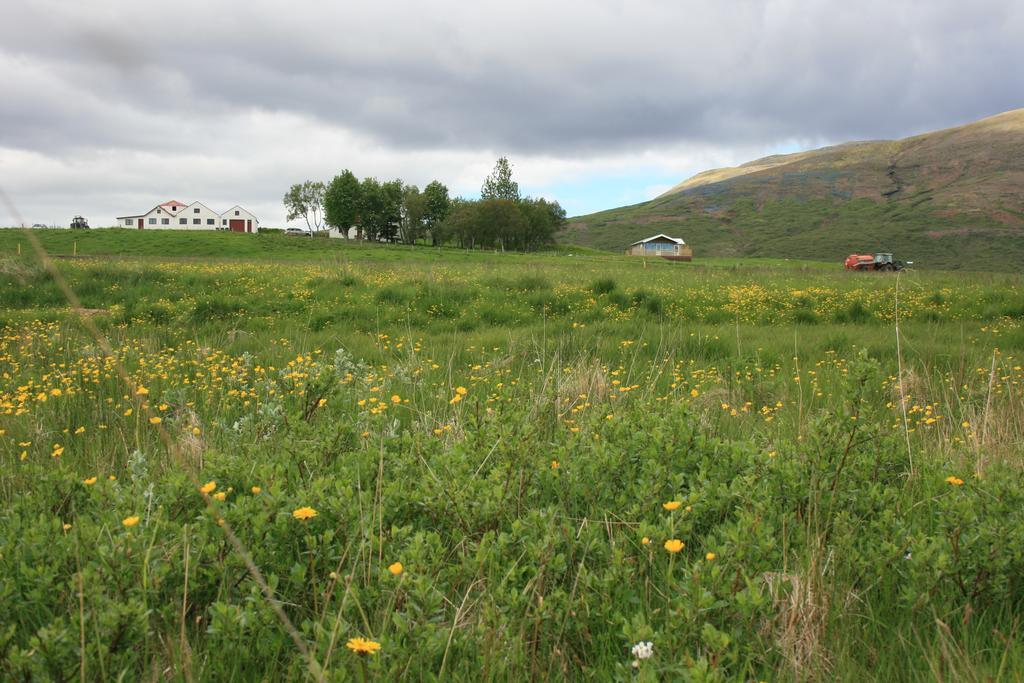 Eyvindartunga farm cottage Laugarvatn Exteriör bild